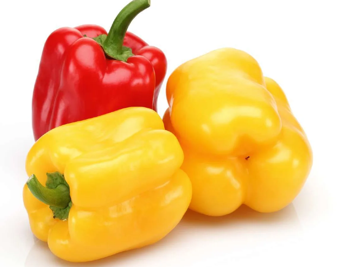 IQF Bell Pepper Chopped