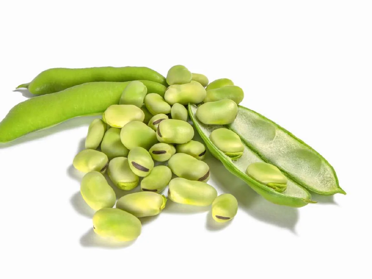 IQF Broad Beans