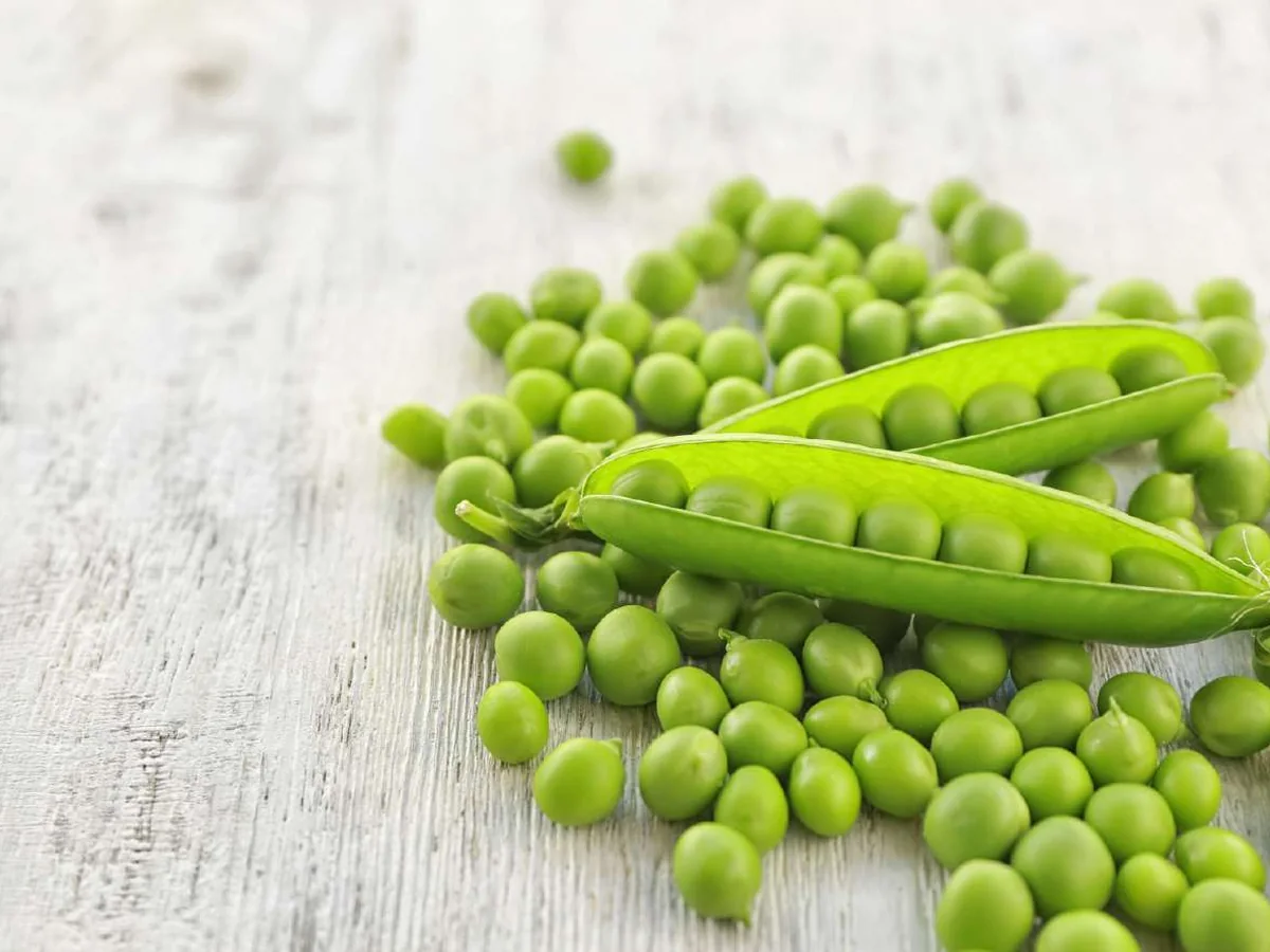 IQF Green Peas