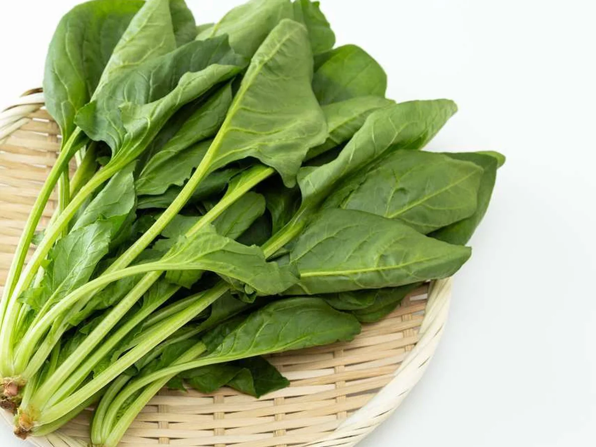 IQF Spinach