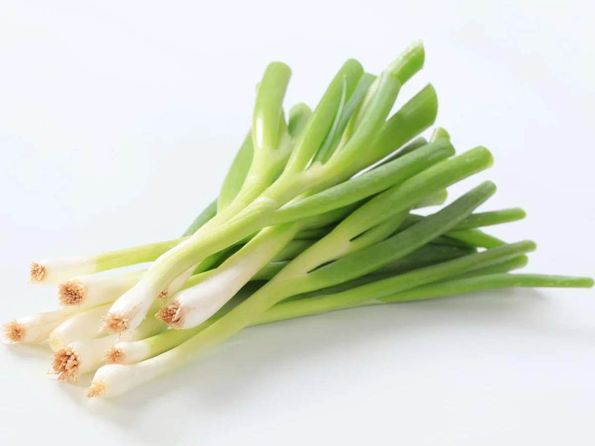 IQF Spring Onions